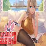 Hot And Lovely 3 Steam CD Key