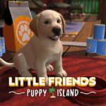 Little Friends: Puppy Island EU PC Steam CD Key