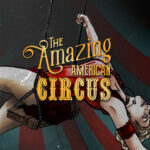 The Amazing American Circus EU Steam CD Key