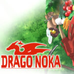 Drago Noka EU Nintendo Switch CD Key