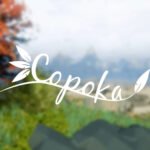Copoka EU PC Steam CD Key