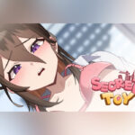 Secret Toy PC Steam CD Key