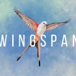 Wingspan EU Steam CD Key